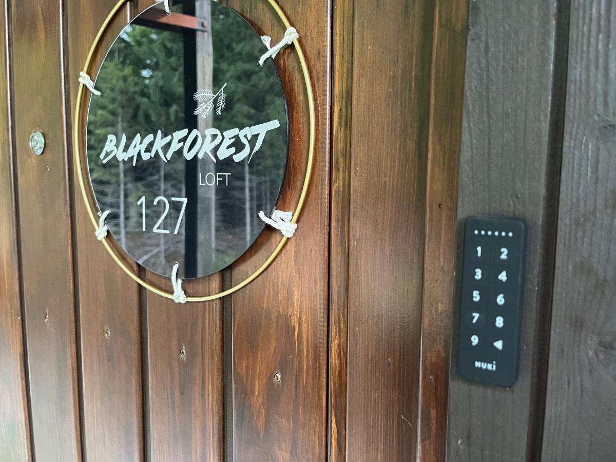 Apartment Blackforest Loft - Panoramablick Schwarzwald *
